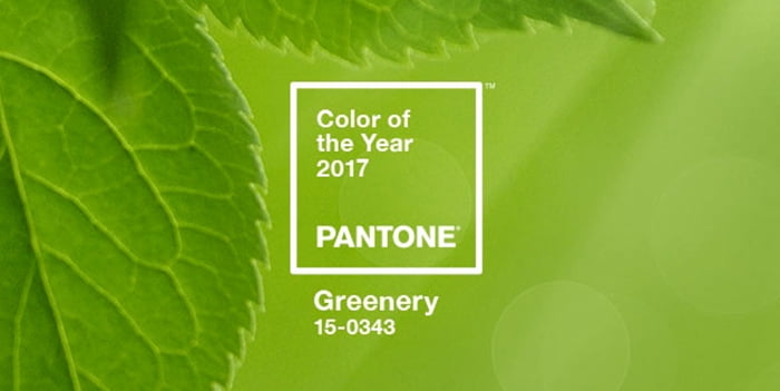 2017 Pantone Color of the Year: GREENERY