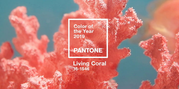 2019 Pantone Color of the Year: Living Coral